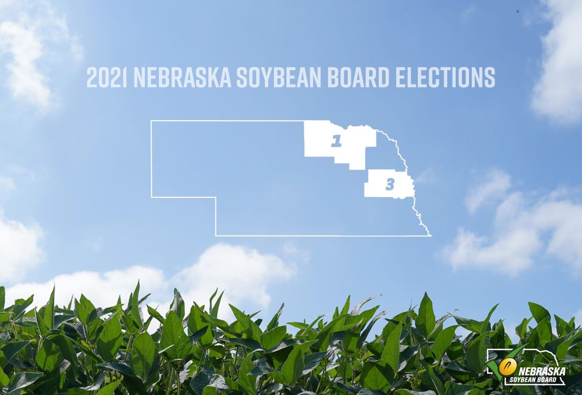 2021-Elections-1536x1044