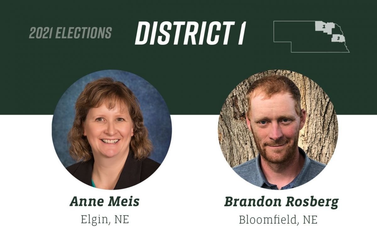 District-1-1536x1024