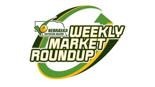 market-roundup-logo-large-0-White-1024x576