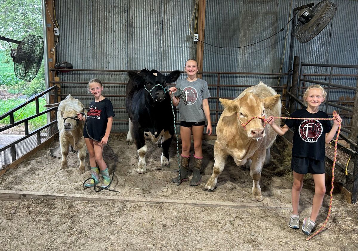 Girls w Calves