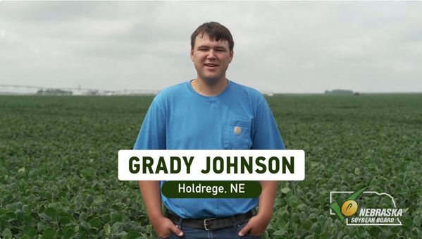 Grady 